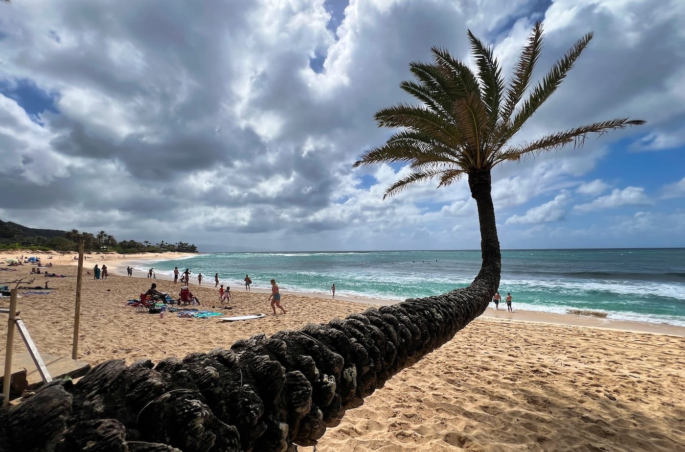 Hawaje po polsku north shore