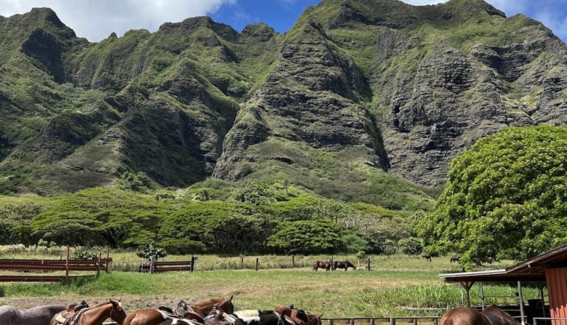 Hawaje po polsku Kualoa Ranch Hawaii