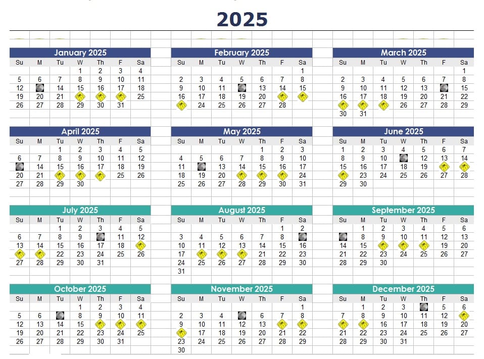 Meduzy na Hawajach 2025