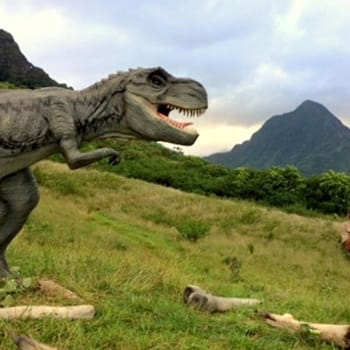 Kualoa-Ranch-Wycieczki-na-Hawajach