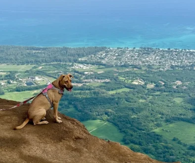 widok z gory na Oahu Hawaje po polsku